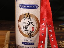 功成世家详情设计