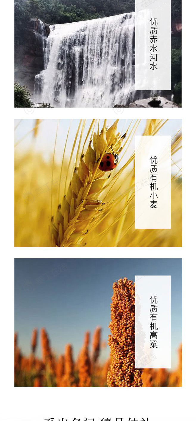 贵州茅台酒详情设计