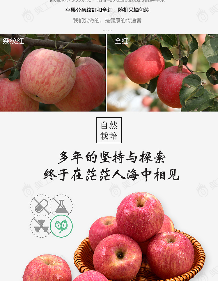 烟台苹果详情设计