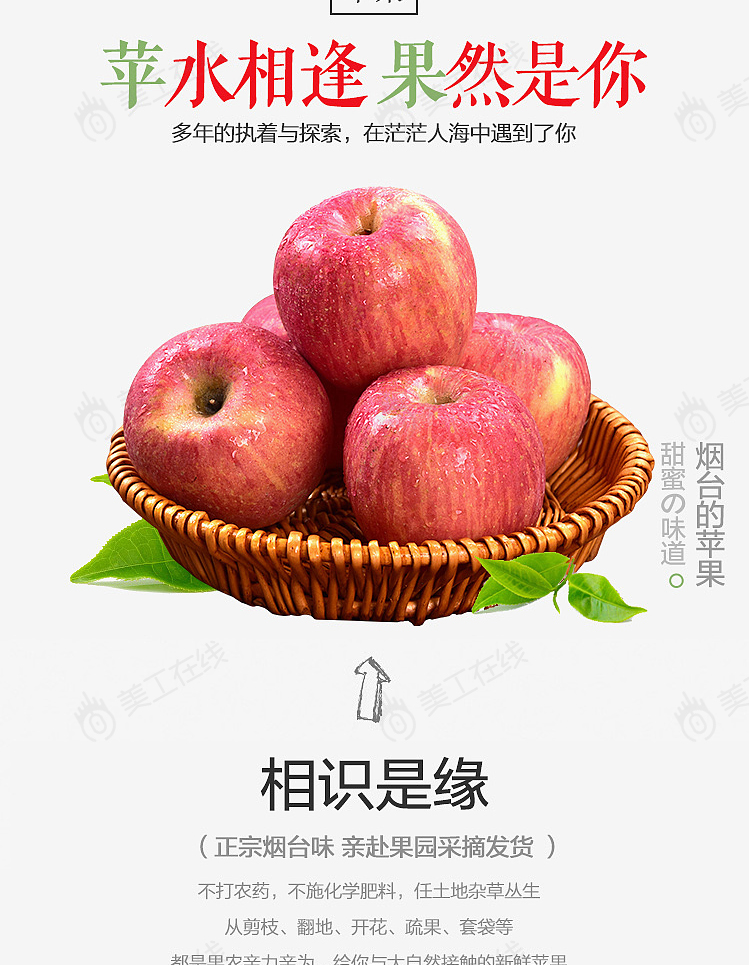 烟台苹果详情设计