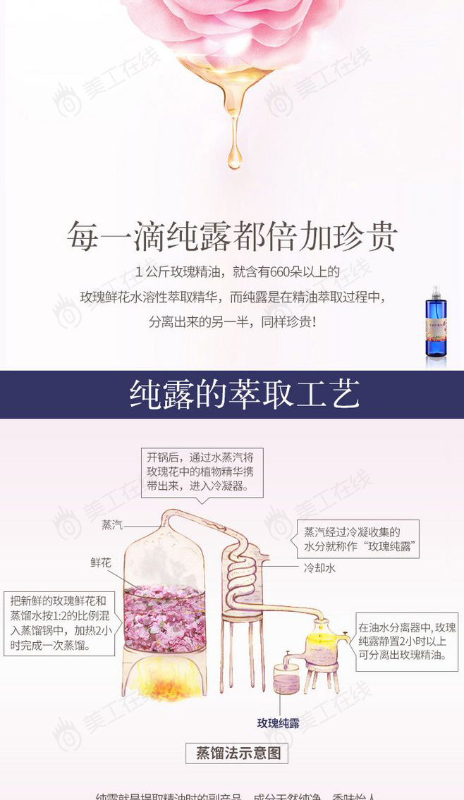 玫瑰纯露详情设计