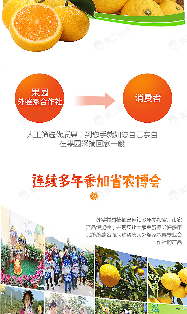 橘柚详情设计