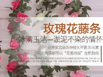 玫瑰藤条详情设计2