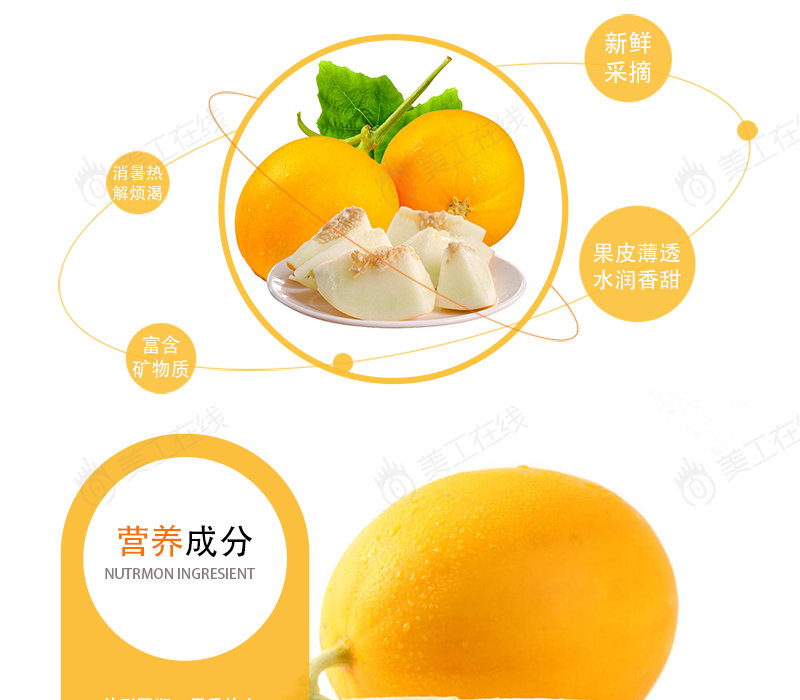 甜瓜详情设计