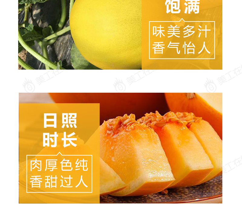 甜瓜详情设计